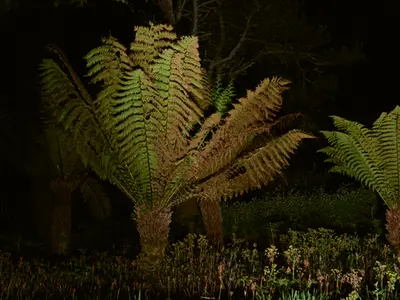 glenkeen-garden-unknown.jpg