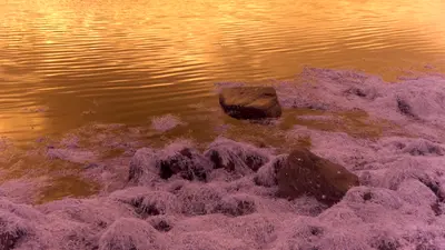crespo_gg_moritz_fehr_foreshore-act_2024_still.jpg