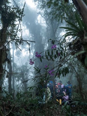 02_ecology-for-new-guides-in-yunguilla-2025_c_isadora_romero.jpg